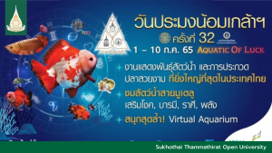 Read more about the article THE SIAM FISH exhibited at the 32<sup>nd</sup> Annual Pramong Nomklao Fair